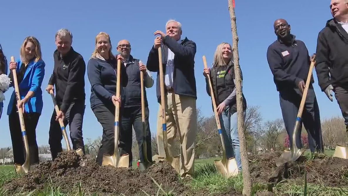 Trees planted at Patton Park for Earth Day